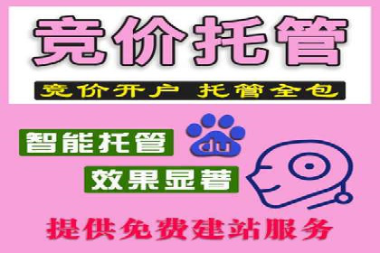 成功案例揭秘：sem账户托管的转化率奇迹